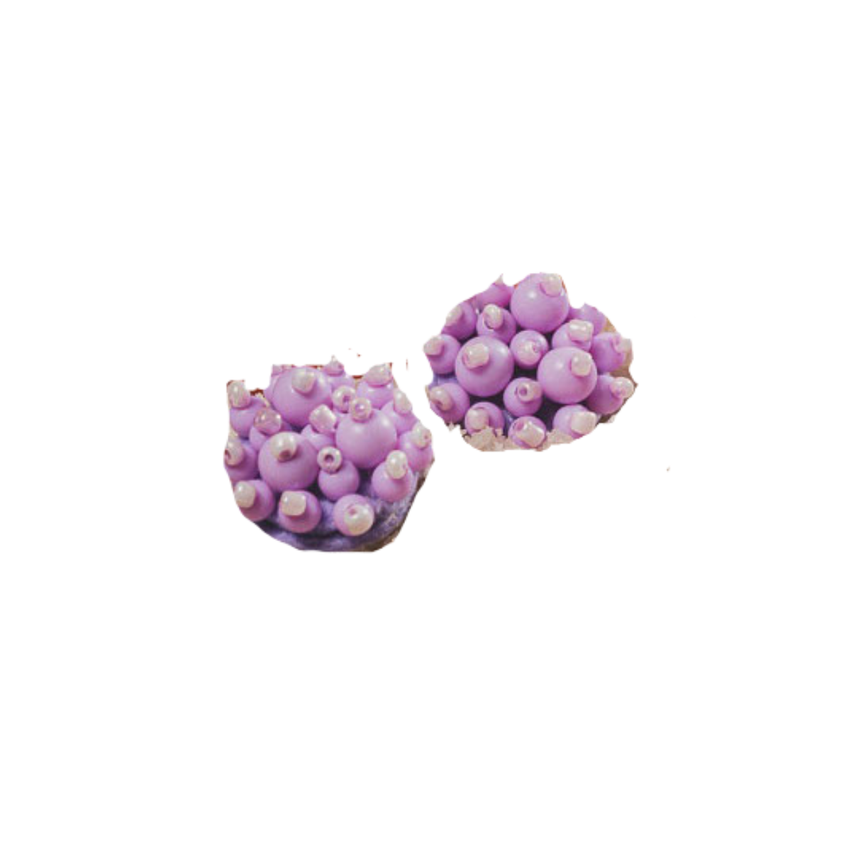 El Dorado Earrings